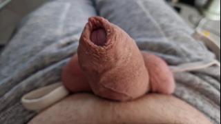 Homer Jay Simpson Snapshot