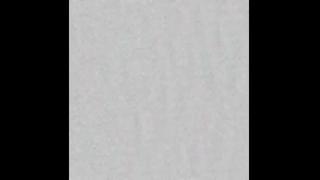 Raegan & Zak Snapshot