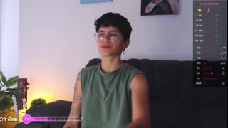 Dass model independent Snapshot