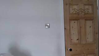 Mockingjay3001 Snapshot