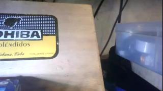 Markazzo73 Snapshot