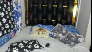 independent model Snapshot