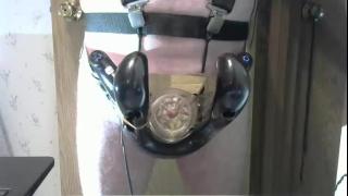 Robodickmilker Snapshot