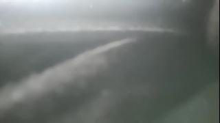 Pussy Licker - Show me your wild side. I’m ready to play | 給我看看妳狂野的一面…我準備好了 💦 Snapshot