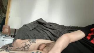 Gentle Stranger Snapshot