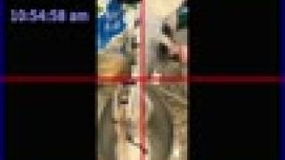 Sepffish_M123ref Snapshot