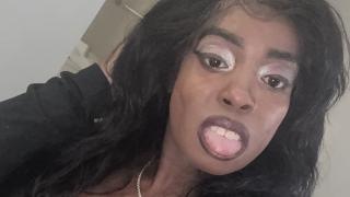 Everythingthick Snapshot