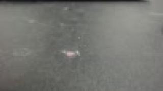 FarinnaRayTS Snapshot