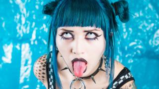 LaurentMedina Snapshot