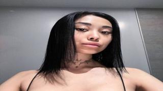 SheriGaller Snapshot