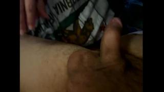 BlueDream79 Snapshot