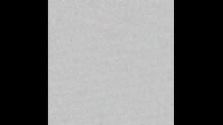 Content creator / artist Snapshot