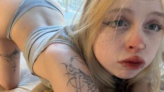 LeilaKitten Snapshot