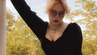 DarnellSehorn Snapshot