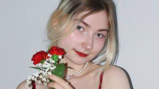 SandaPlocek Snapshot