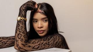 AmaiaHarpper Snapshot