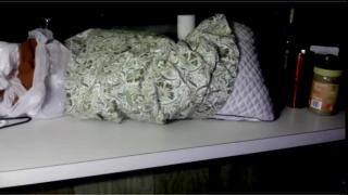 HenryFlapper Snapshot