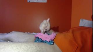 andy___1017 Snapshot