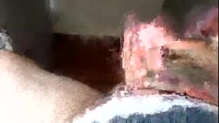 chat&bateaussie Snapshot