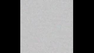 A_HappyHippie Snapshot