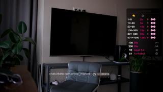 SOFIA & DAMIEN  / PVT MODEL Snapshot