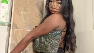 Selenelune1 Snapshot