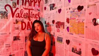 CristalsBlom Snapshot