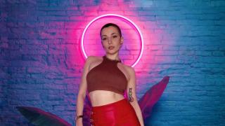 ElpisFoxter Snapshot