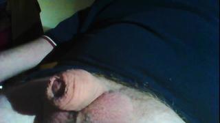 Willy Stroker Snapshot