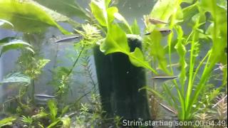 Booker Baxton Snapshot